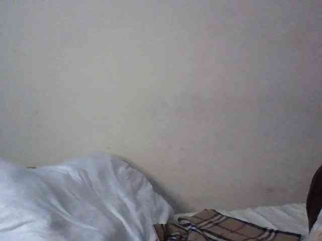 Dina-Nina webcam