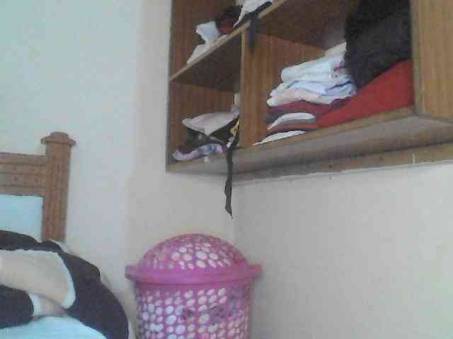 Dina-Nina webcam