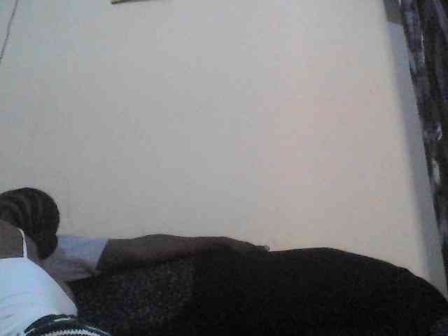 Dina-Nina webcam