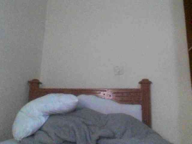 Dina-Nina webcam