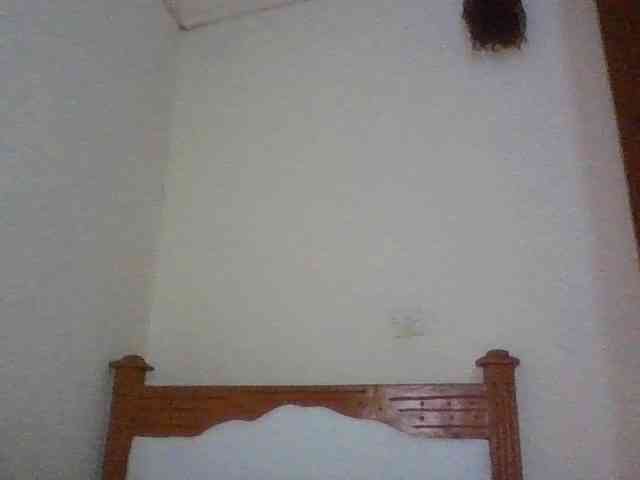 Dina-Nina webcam