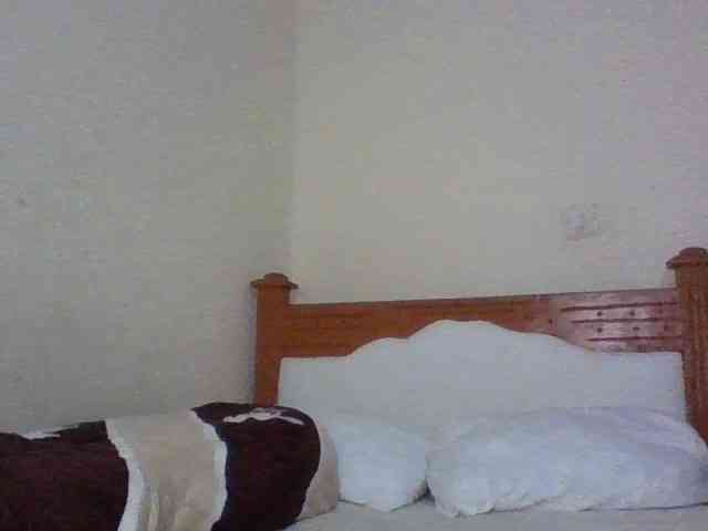 Dina-Nina webcam