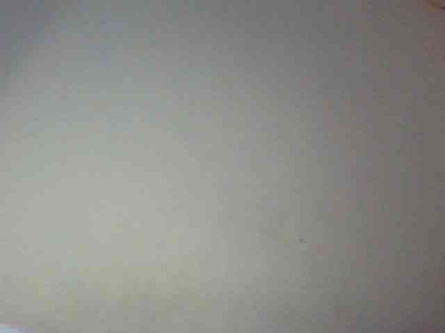 Dina-Nina webcam