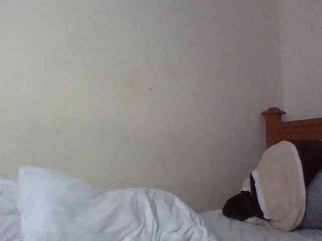 Dina-Nina webcam