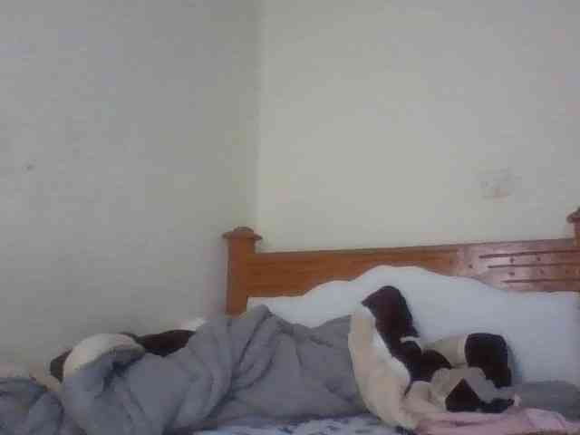 Dina-Nina webcam