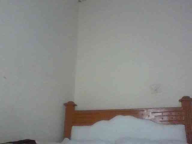 Dina-Nina webcam
