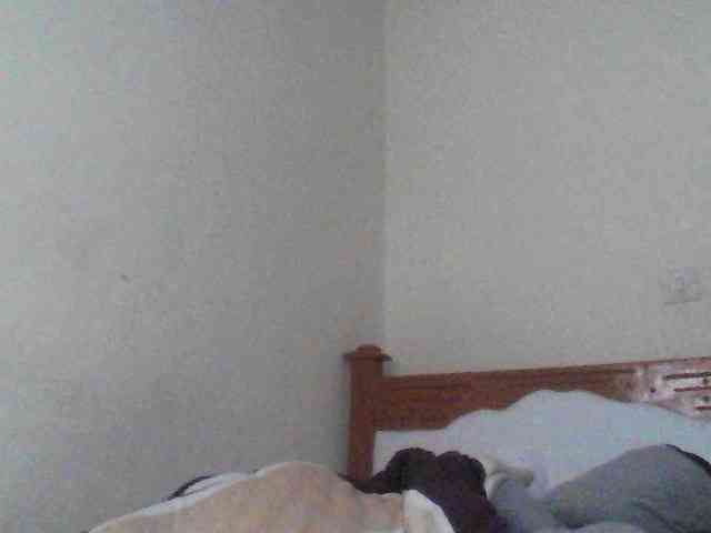 Dina-Nina webcam