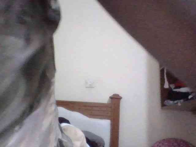 Dina-Nina webcam