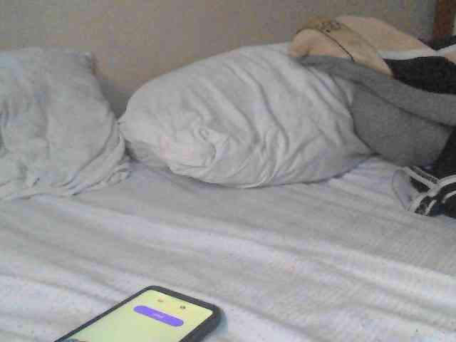 Dina-Nina webcam