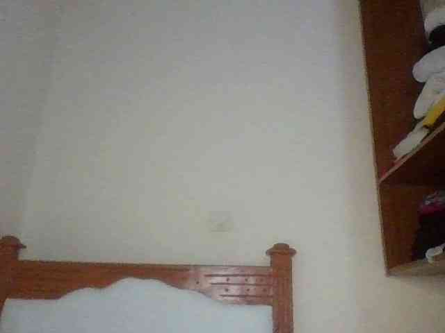 Dina-Nina webcam