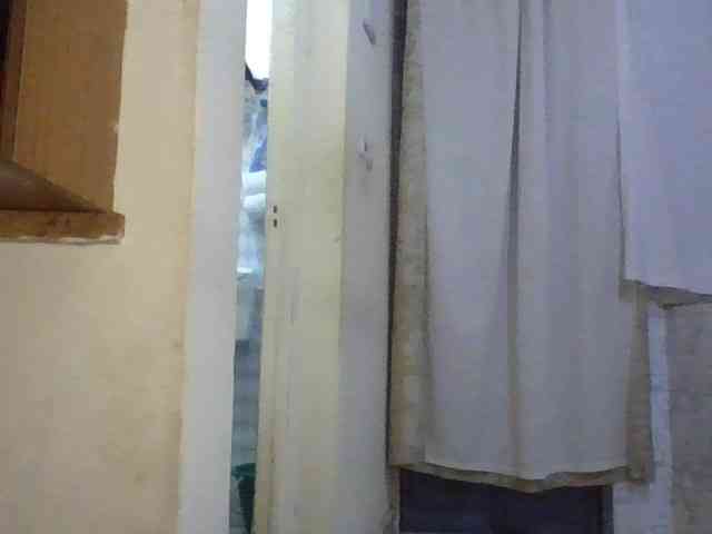 Dina-Nina webcam