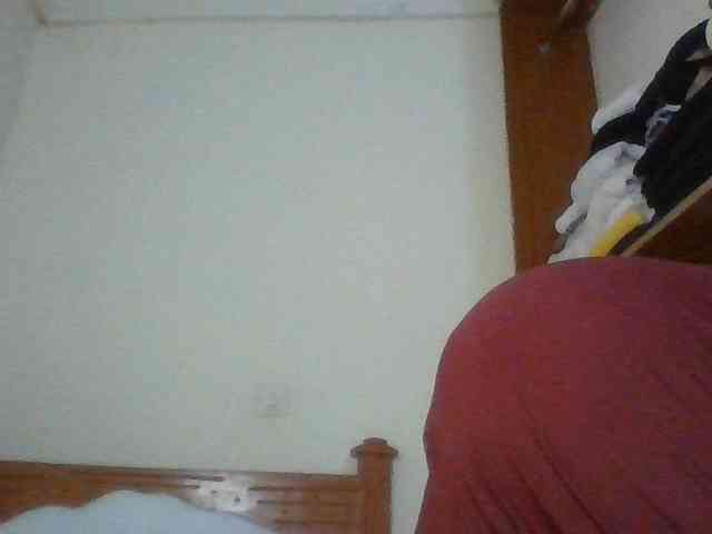 Dina-Nina webcam