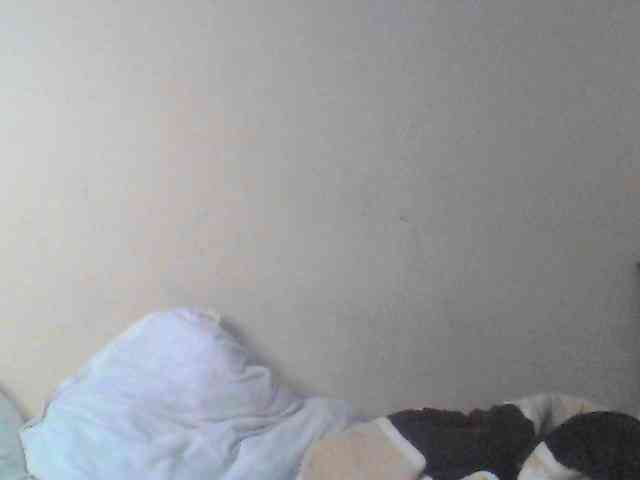 Dina-Nina webcam