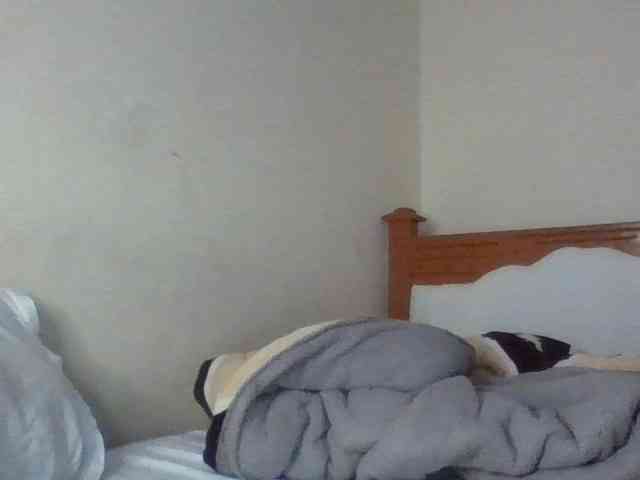 Dina-Nina webcam