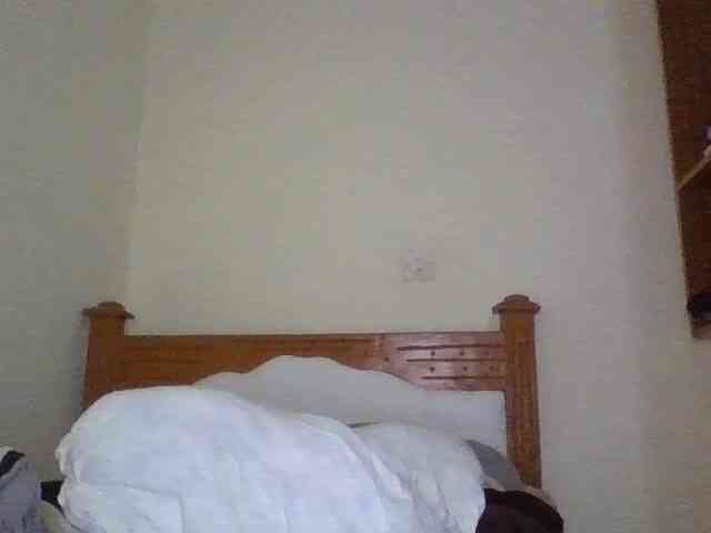 Dina-Nina webcam