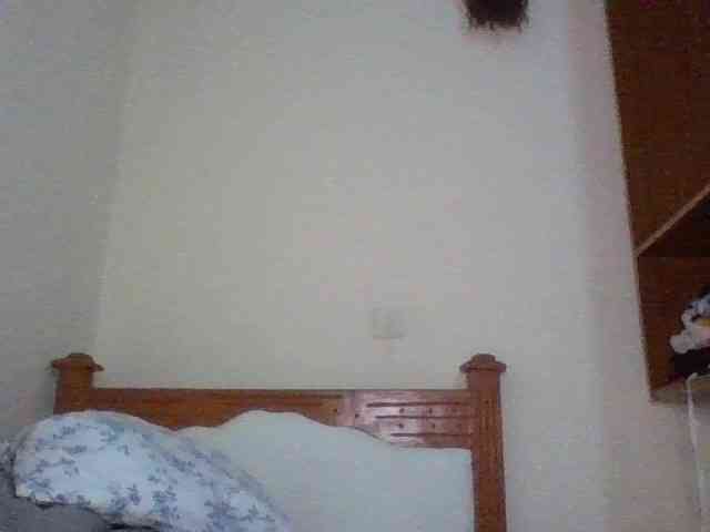 Dina-Nina webcam