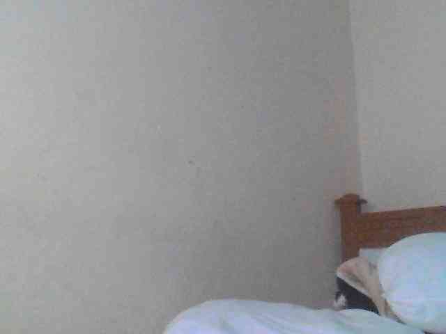 Dina-Nina webcam