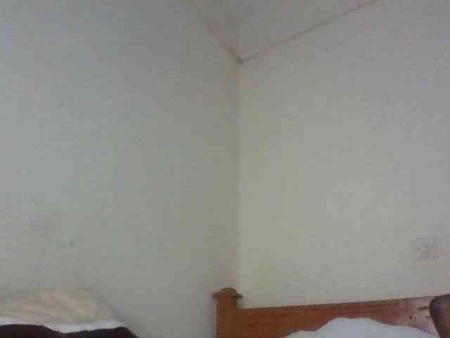 Dina-Nina webcam