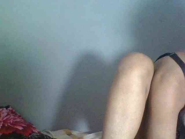 Hasley webcam