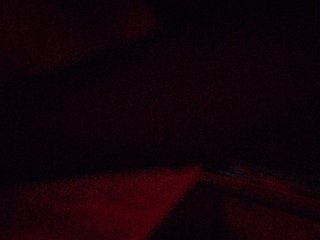 gafs-br0thers Porn Show