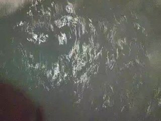 gafs-br0thers
