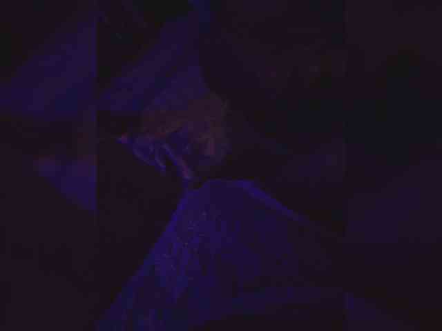 gafs-br0thers webcam