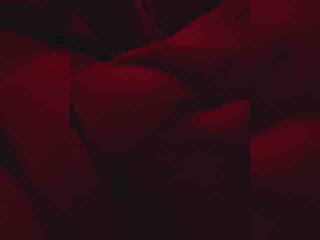 gafs-br0thers webcam