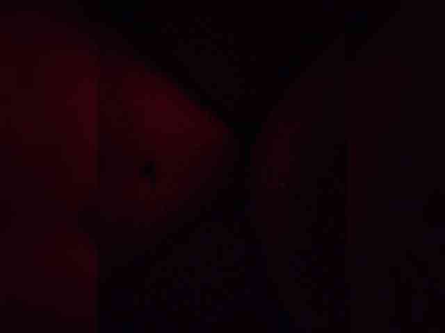 gafs-br0thers webcam