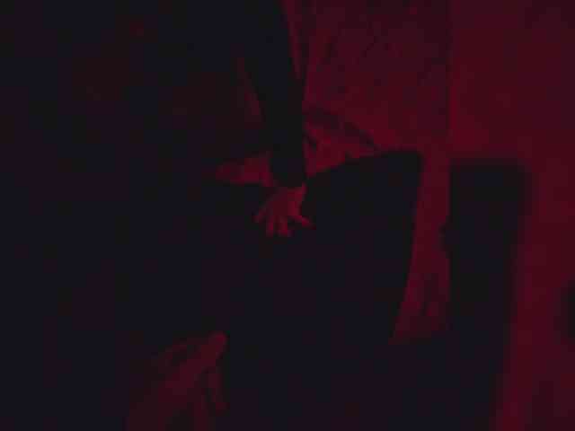 gafs-br0thers webcam