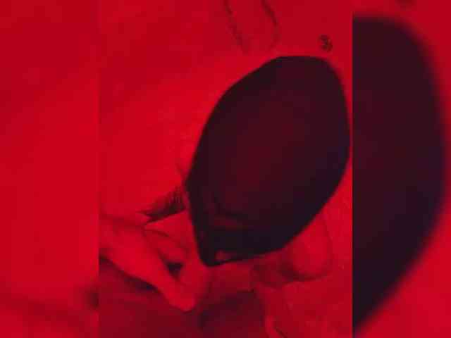 gafs-br0thers webcam