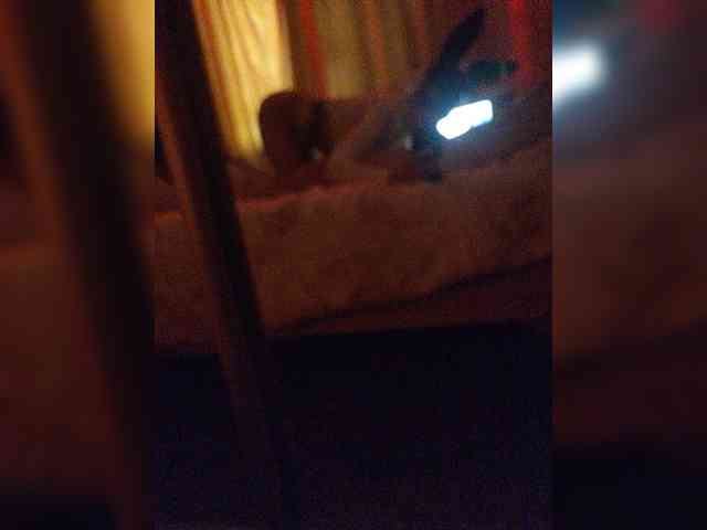 gafs-br0thers webcam