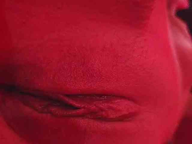 gafs-br0thers webcam