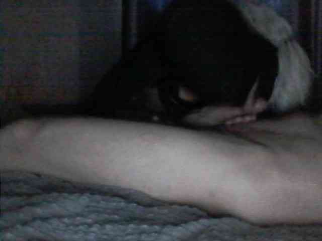 gafs-br0thers webcam