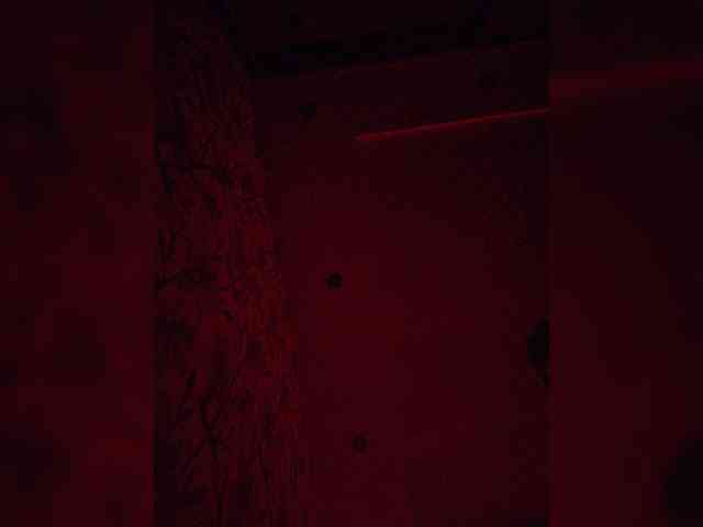 gafs-br0thers Live Webcam on BongaCams