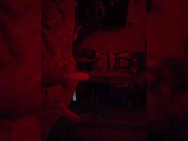 Модель: gafs-br0thers