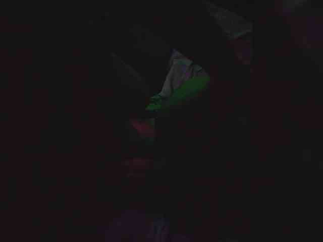 gafs-br0thers webcam