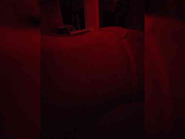 gafs-br0thers webcam