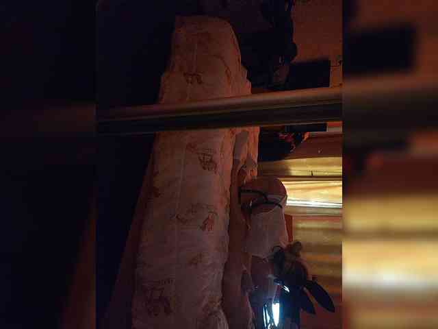 gafs-br0thers webcam