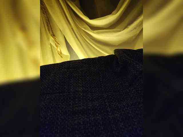 gafs-br0thers webcam