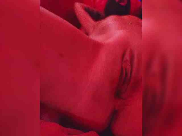 Модель: gafs-br0thers