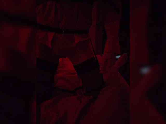 gafs-br0thers webcam