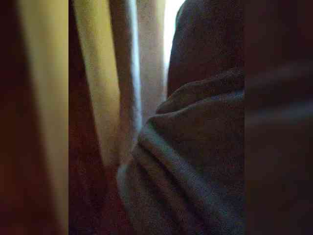 gafs-br0thers webcam