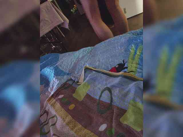 gafs-br0thers webcam