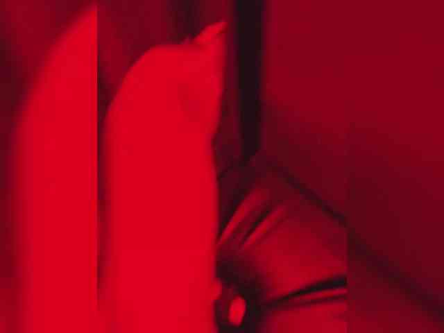 gafs-br0thers webcam