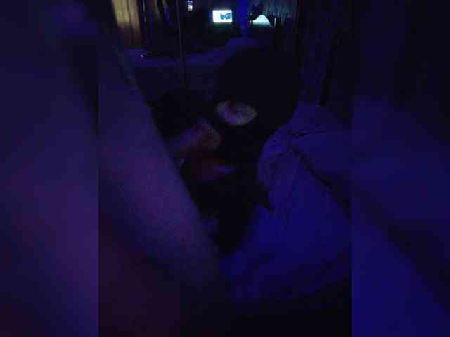 gafs-br0thers webcam