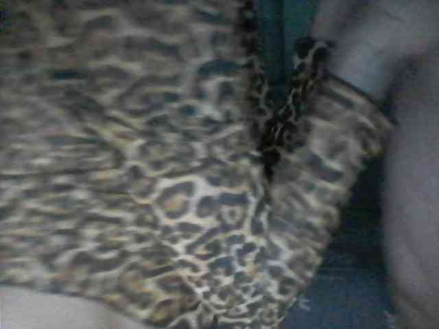 gafs-br0thers webcam