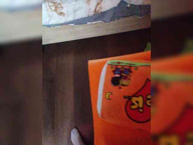 gafs-br0thers webcam