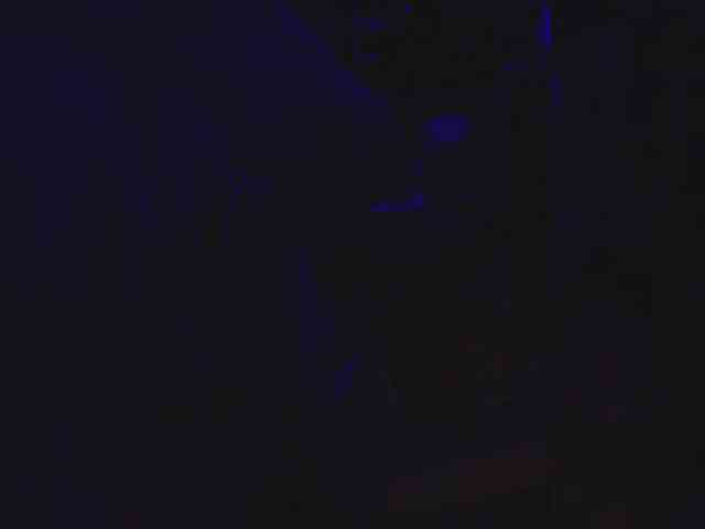 gafs-br0thers webcam