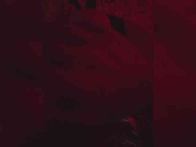 gafs-br0thers webcam