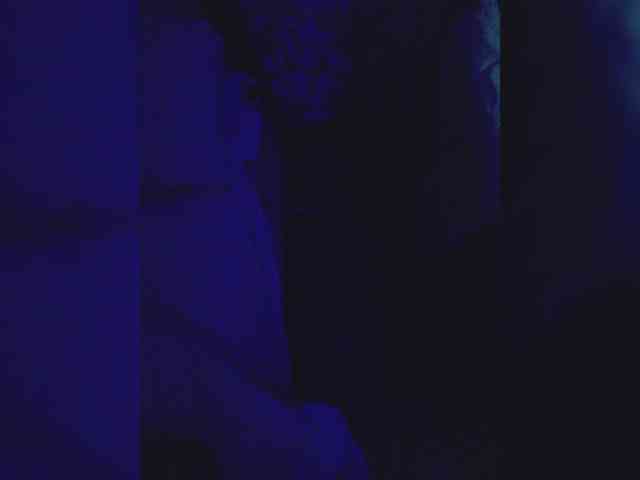 gafs-br0thers webcam